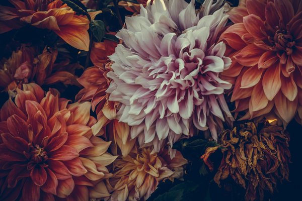 Rénovation de votre maison de campagne : Le guide incontournable pour créer un gîte rural prospère