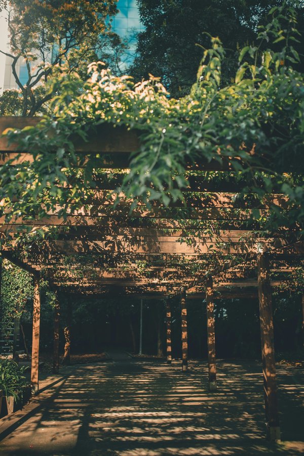 Choisir la pergola parfaite à Caen : guide et conseils